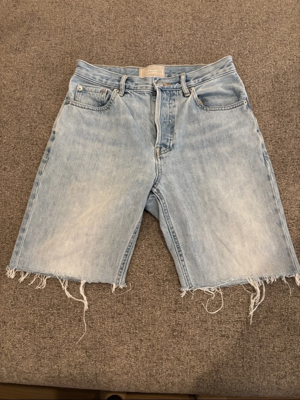 Everlane The Cheeky 90s Long Bermuda Light Wash Frayed Distressed Denim Shorts